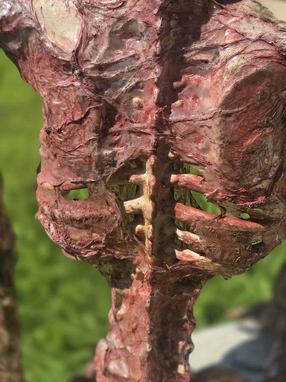 Skeleton Corpse Halloween Prop